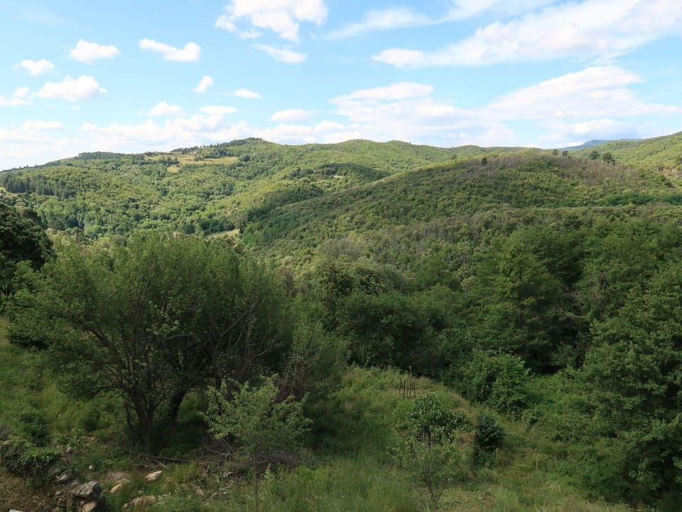 Vegetation, Mountainous Landforms, Highland, Natural Landscape, Nature, Hill, Mountain, Nature Reserve, Natural Environment, Hill Station
