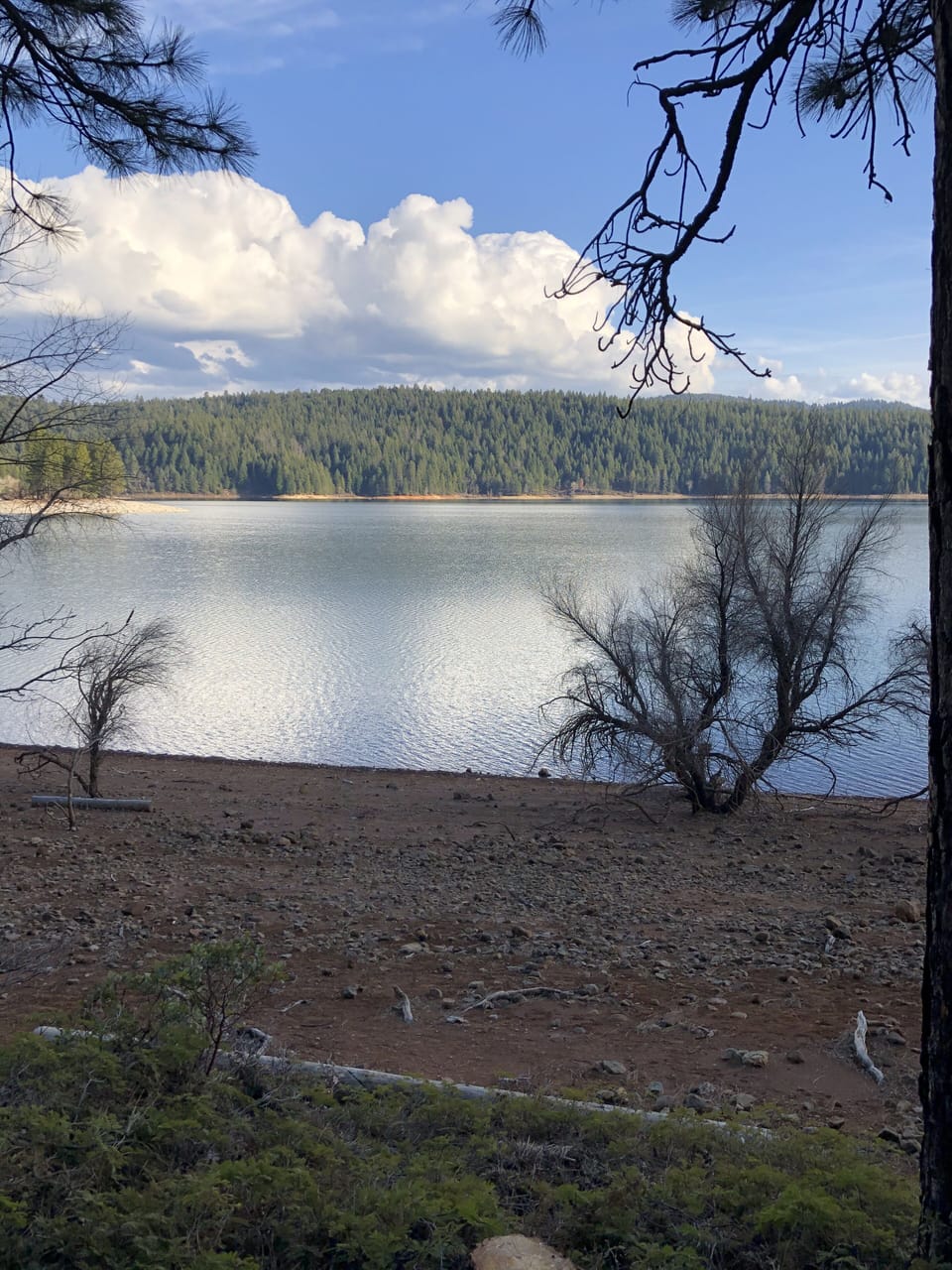 Jenkinson lake 