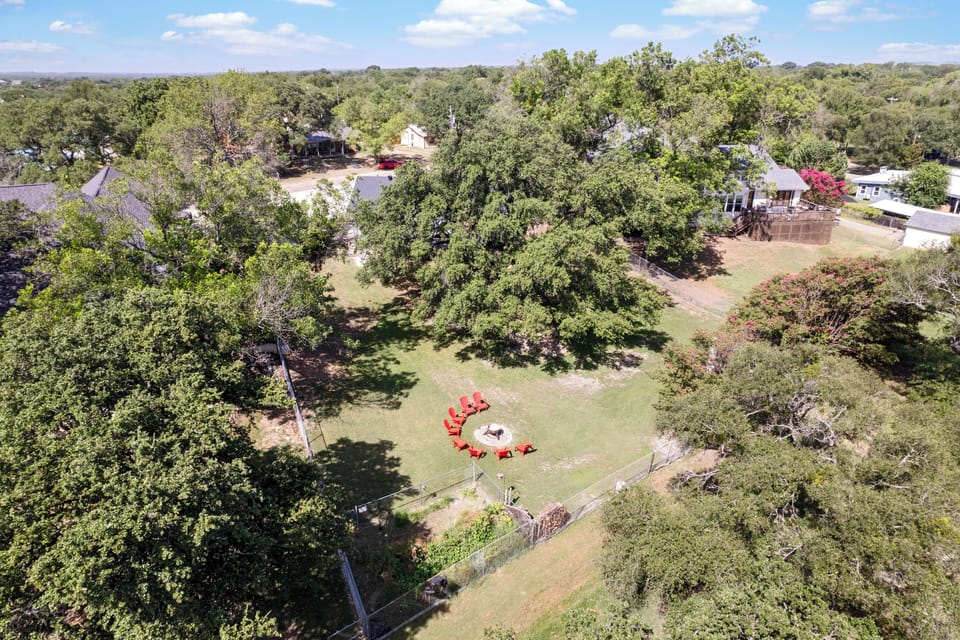Aerail view of backyard with large shade tree