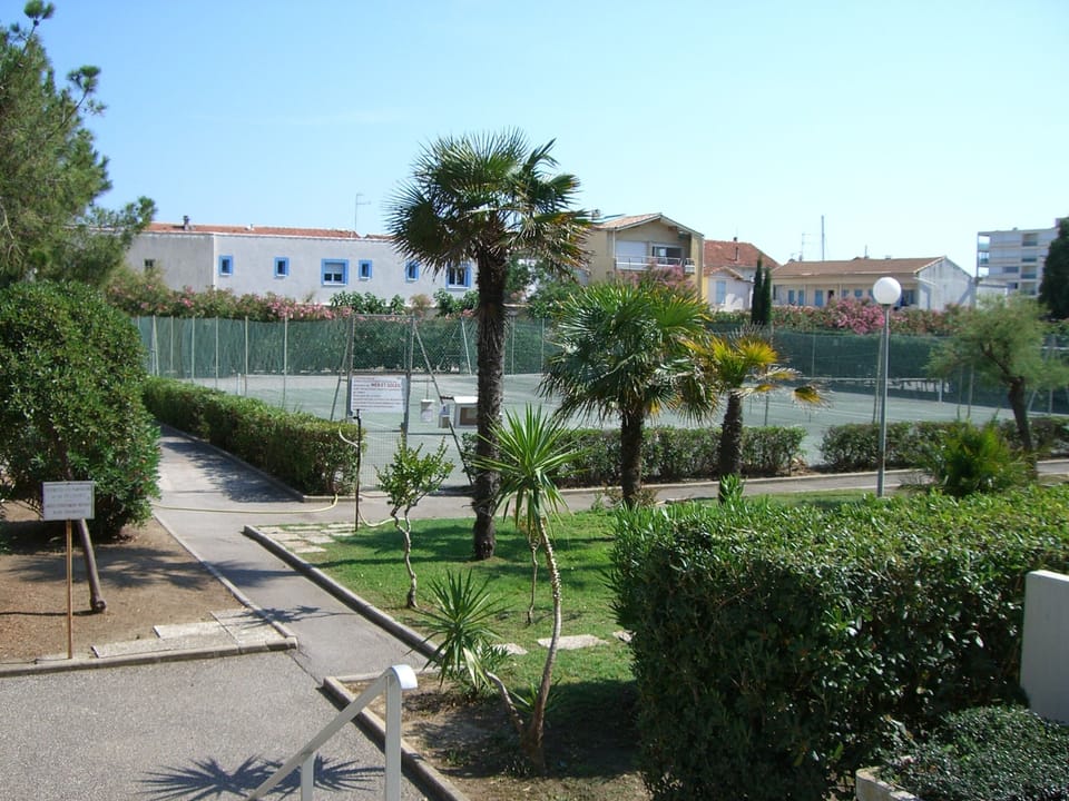 Sport court
