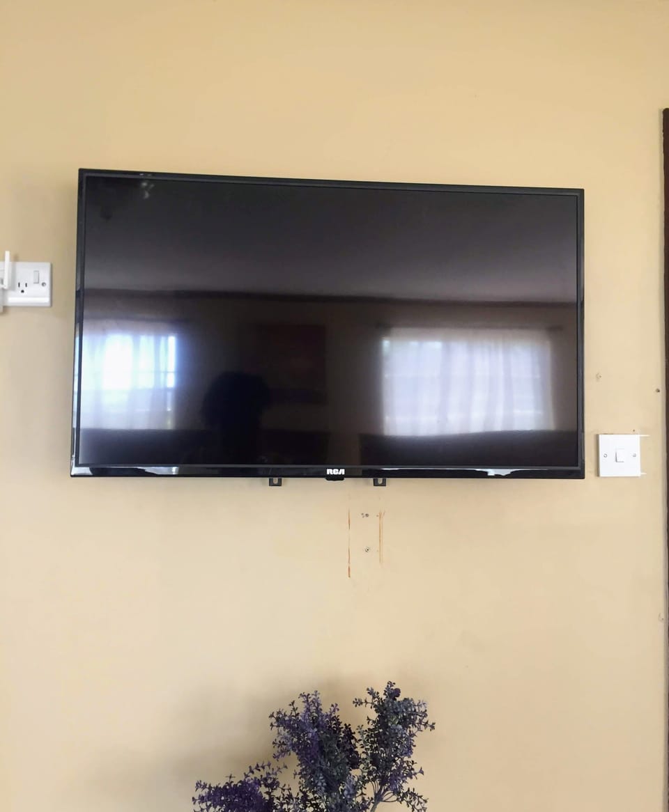 Television