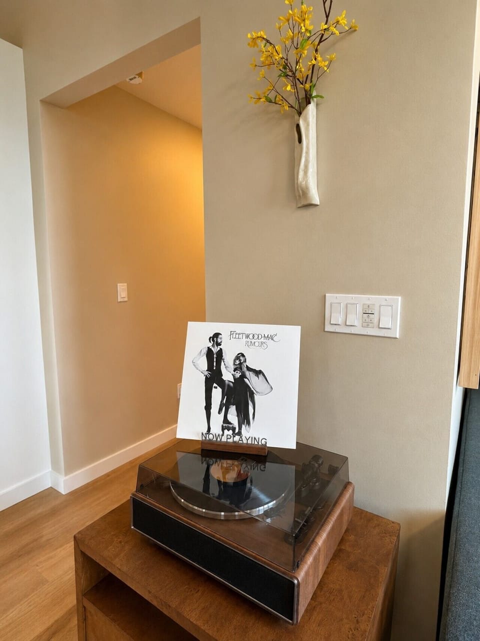 Vintage vinyl + curated record collection — your soundtrack awaits