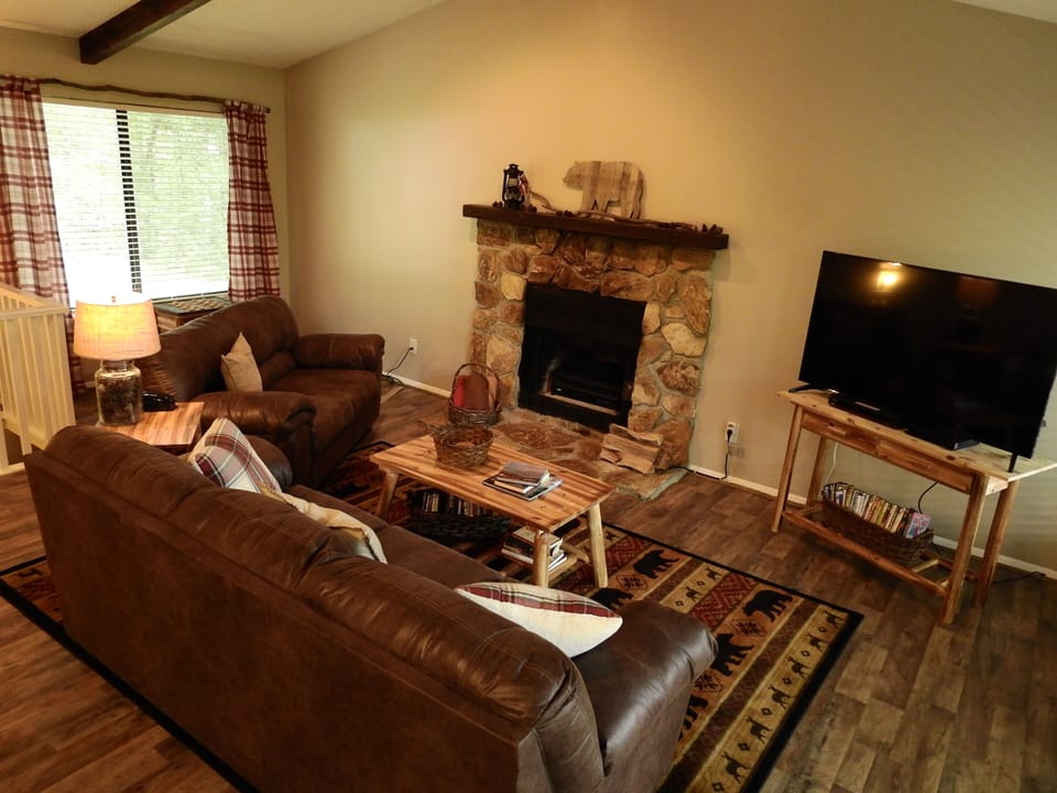 Living room with electric fireplace, pull-out sofa, and TV