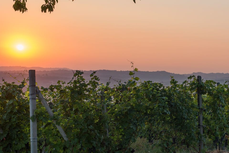 18th century winery with 11x5m private pool and wonderful views House in Piedmont