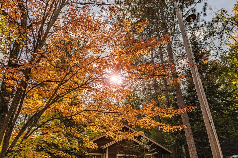 Capture the glistening Autumn skies around you.