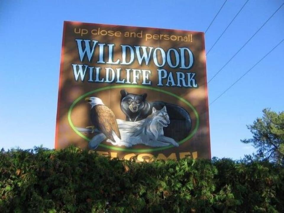 Experience the Wildwood Wildlife Park Zoo and Safari with family. Located in Minocqua. This zoo is home to graceful deer, all the way to gigantic giraffes.