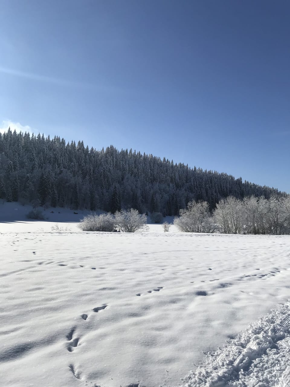 Snow and ski sports