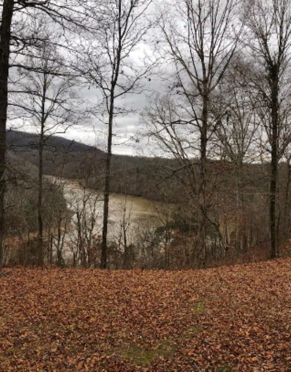 Gorgeous view from back of the home.