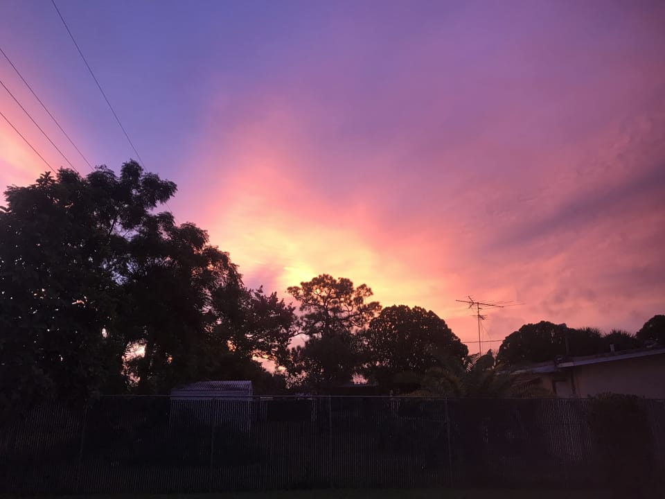 Dawn in the back yard