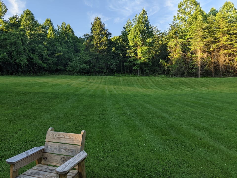 Back yard
