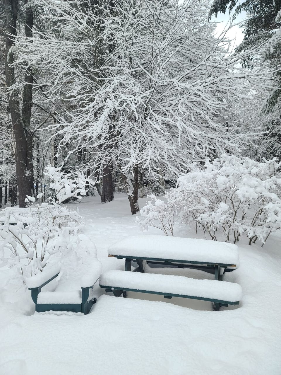 Post snowfall...