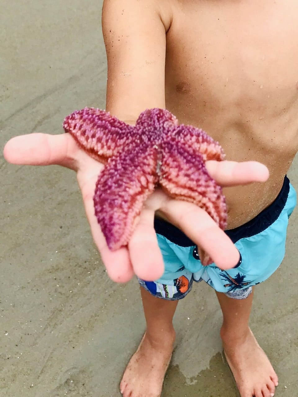 Low - Tide Find on Moody Beach