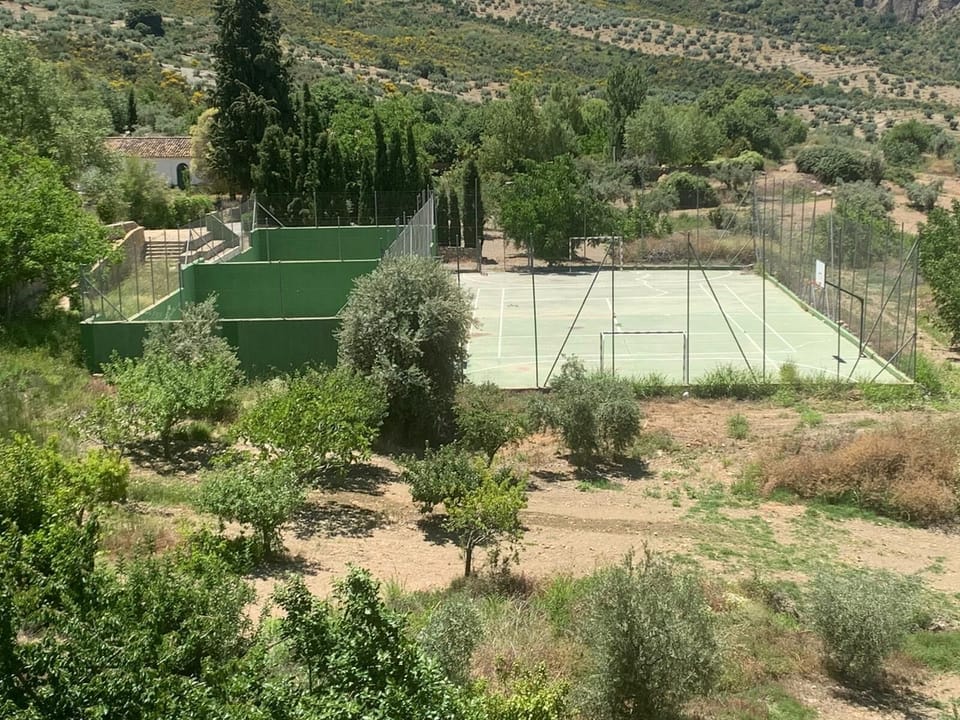 Sport court