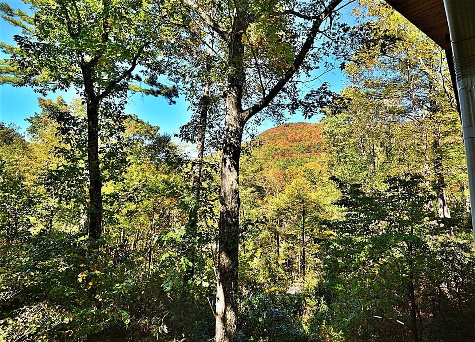 View the fall colors from the deck 