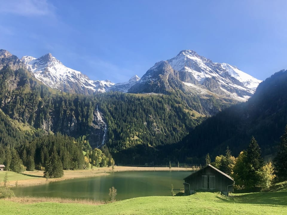 View
