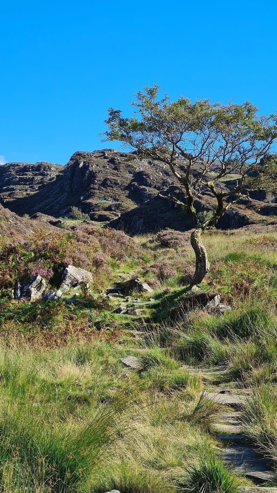 The path over the Rhinog mountains known as the Roman Steps