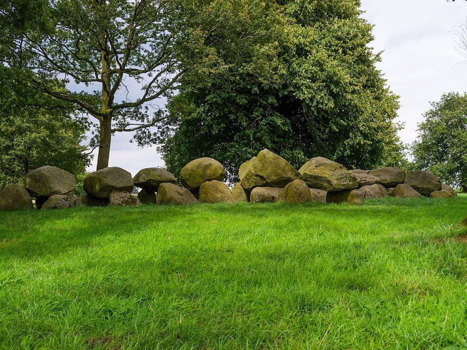 Rock, Grass, Green, Wall, Natural Landscape, Tree, Stone Wall, Lawn, Grass Family, Meadow