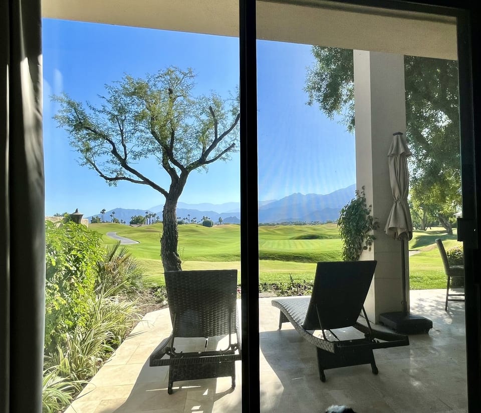 View From Primary