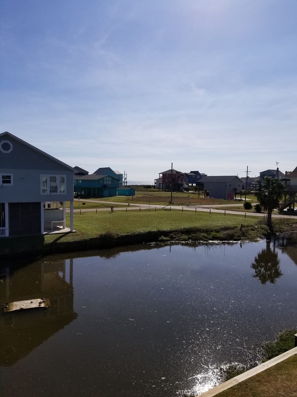 Deck view of slough
