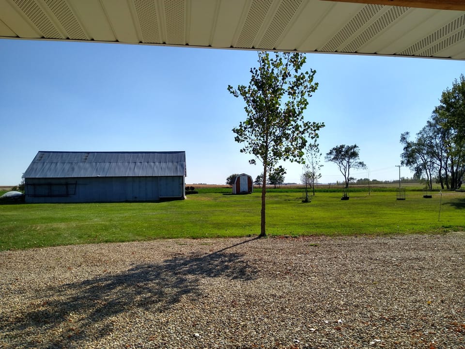 View from front porch