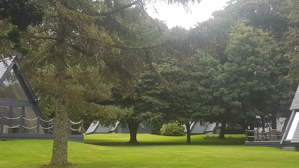 View of the grounds