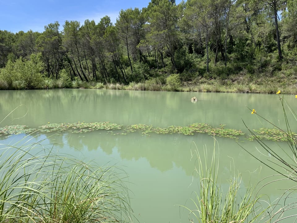 Lake