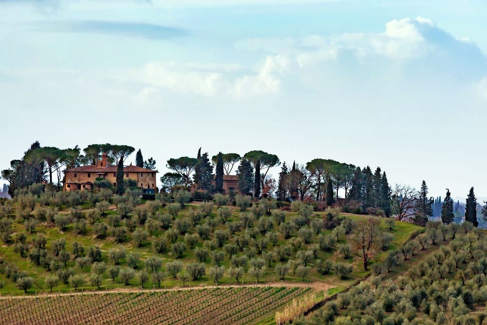 Tuscan landscape and country road with cypress