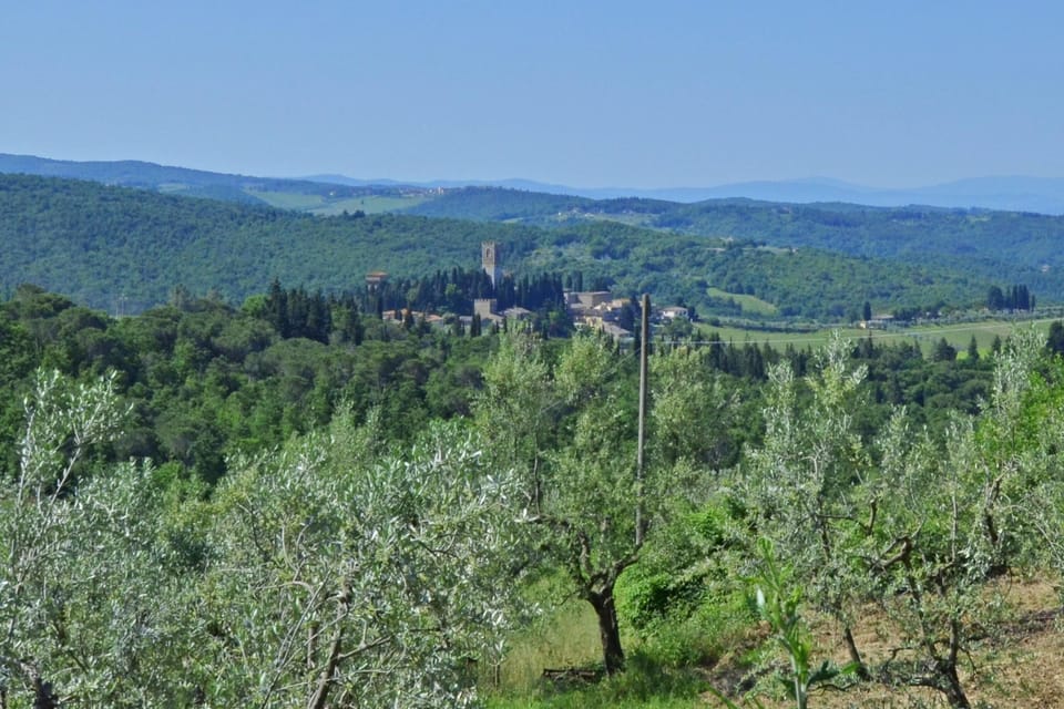 Panoramic view of the Badia di Passignano