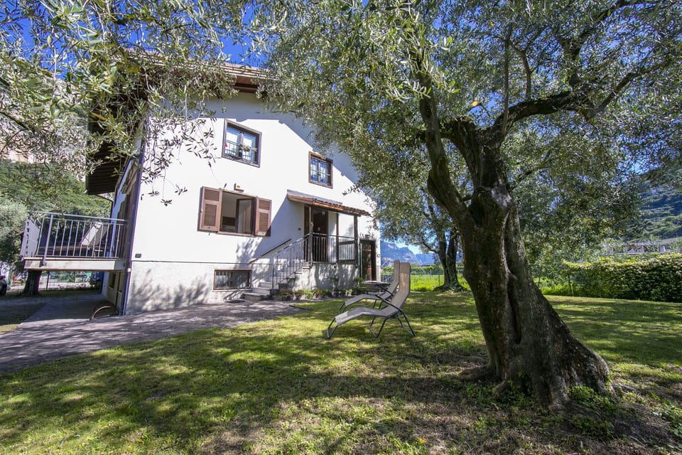 The residence with its beautiful greenery