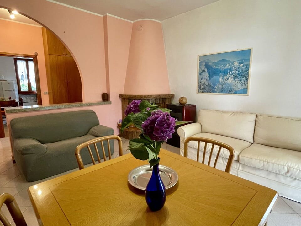 Table, Furniture, Flower, Property, Couch, Plant, Comfort, Interior Design, Chair, Vase