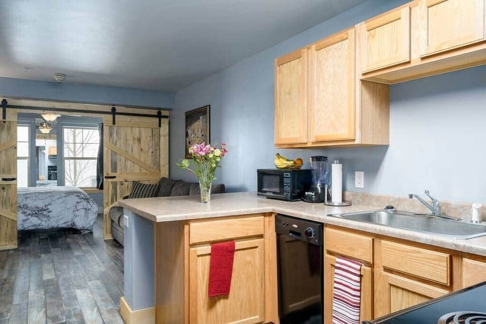 Steamboat Dream Vacation - First Tracks Studio - Free Gondola to Steamboat Ski Resort 