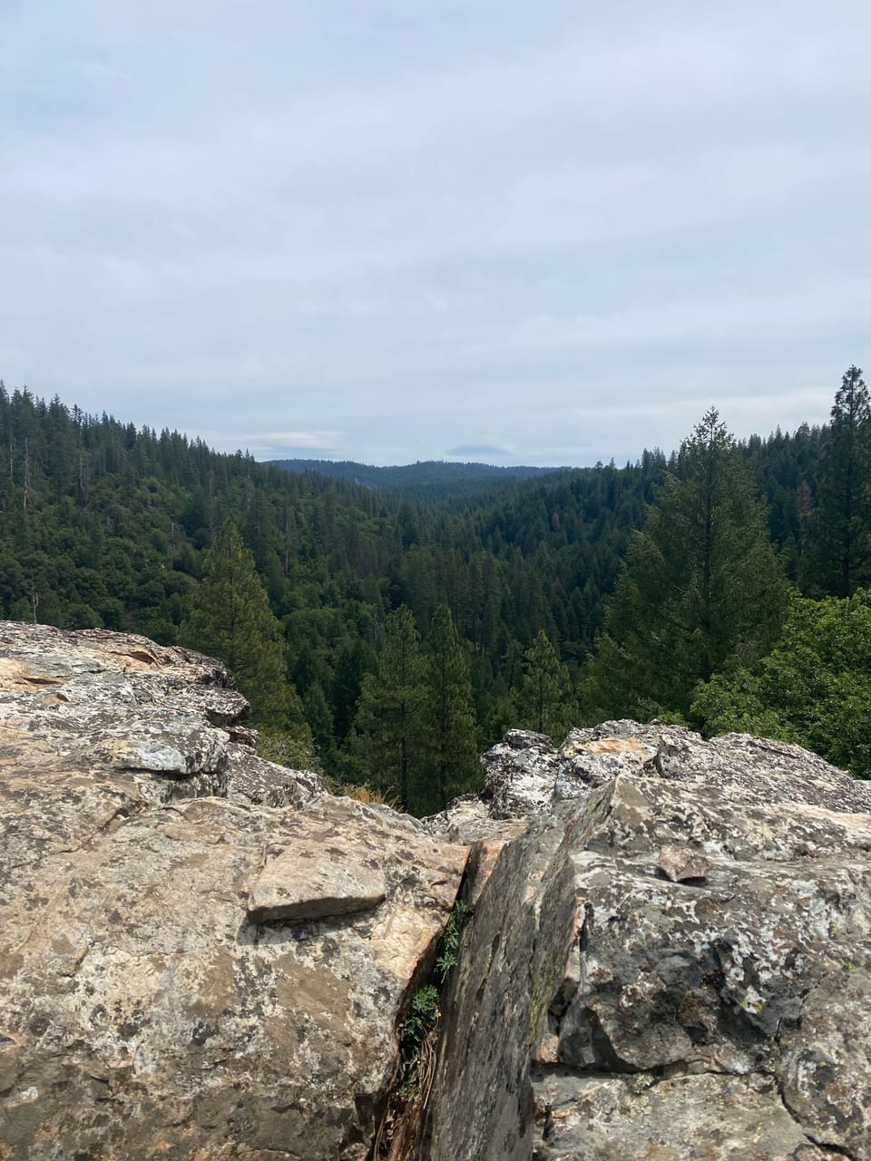 Nearby Cougar Rock