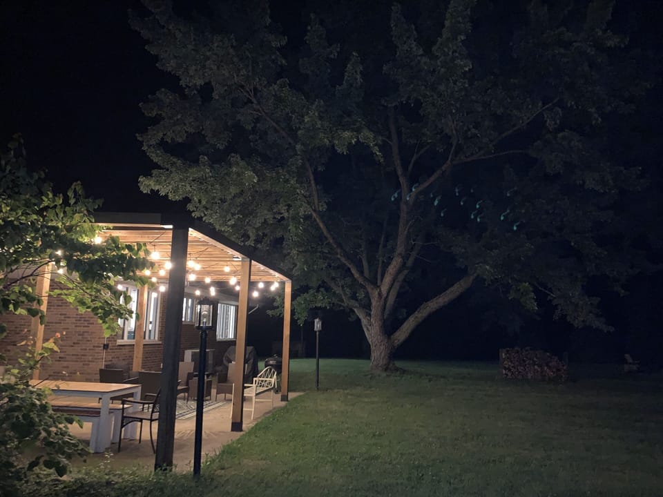 That tree is heavenly.
