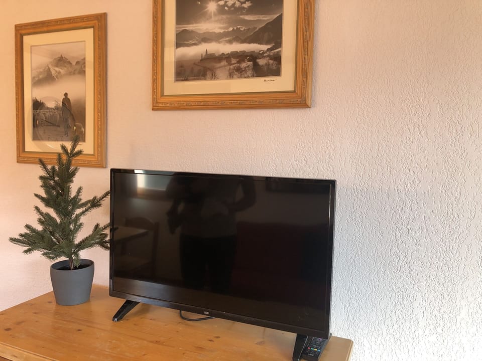 Television