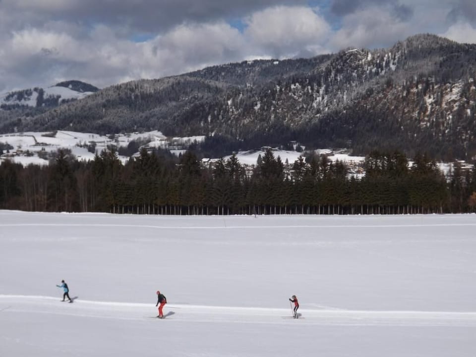 Snow and ski sports