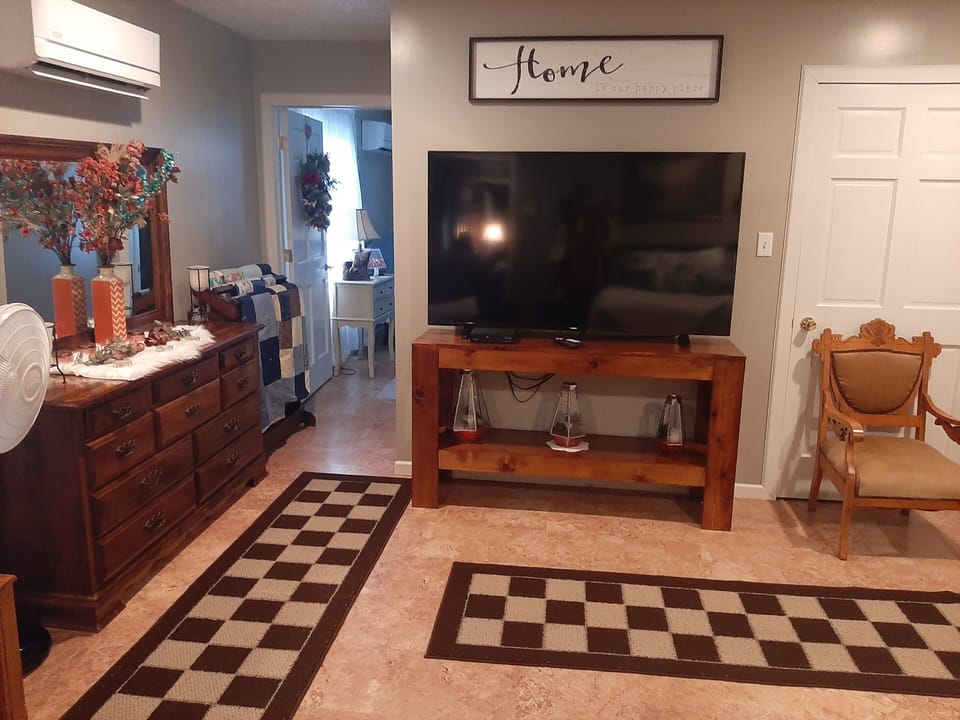 65 inch TV with Netflix and Disney in bedroom 