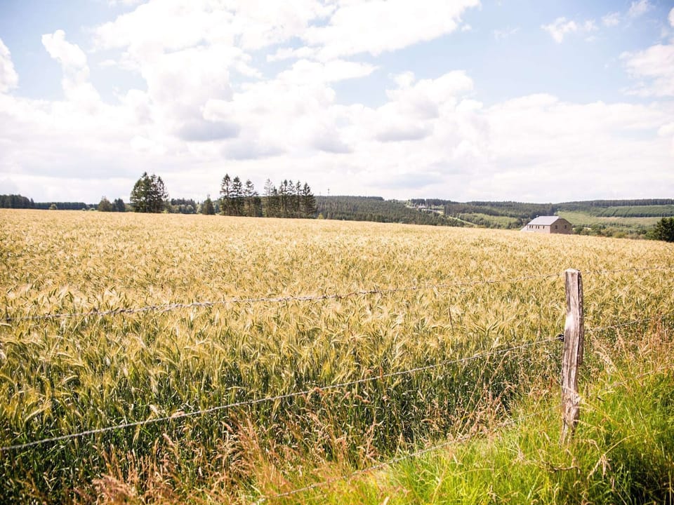 Immediate Surroundings [summer] (<1 km)