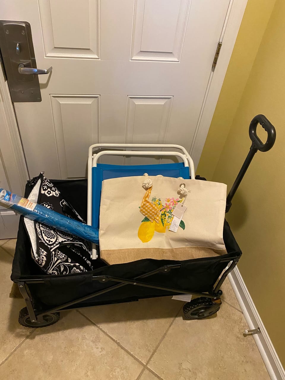 Wagon, 2 chairs, umbrella, insulated bag, beach towels, bag and blanket