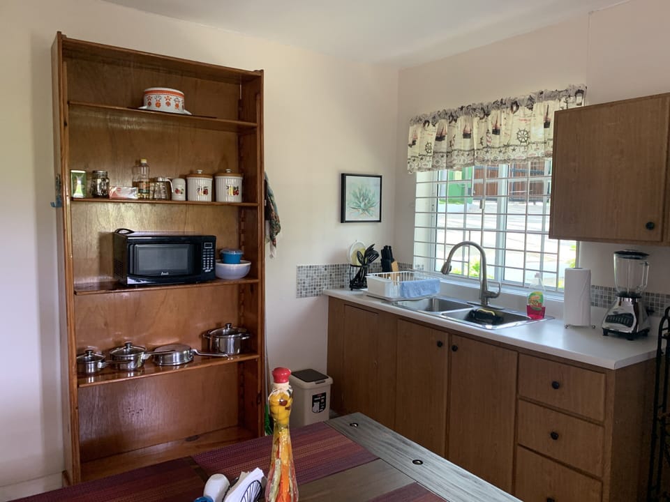 Microwave and other cooking essentials are easily accessible from the shelves