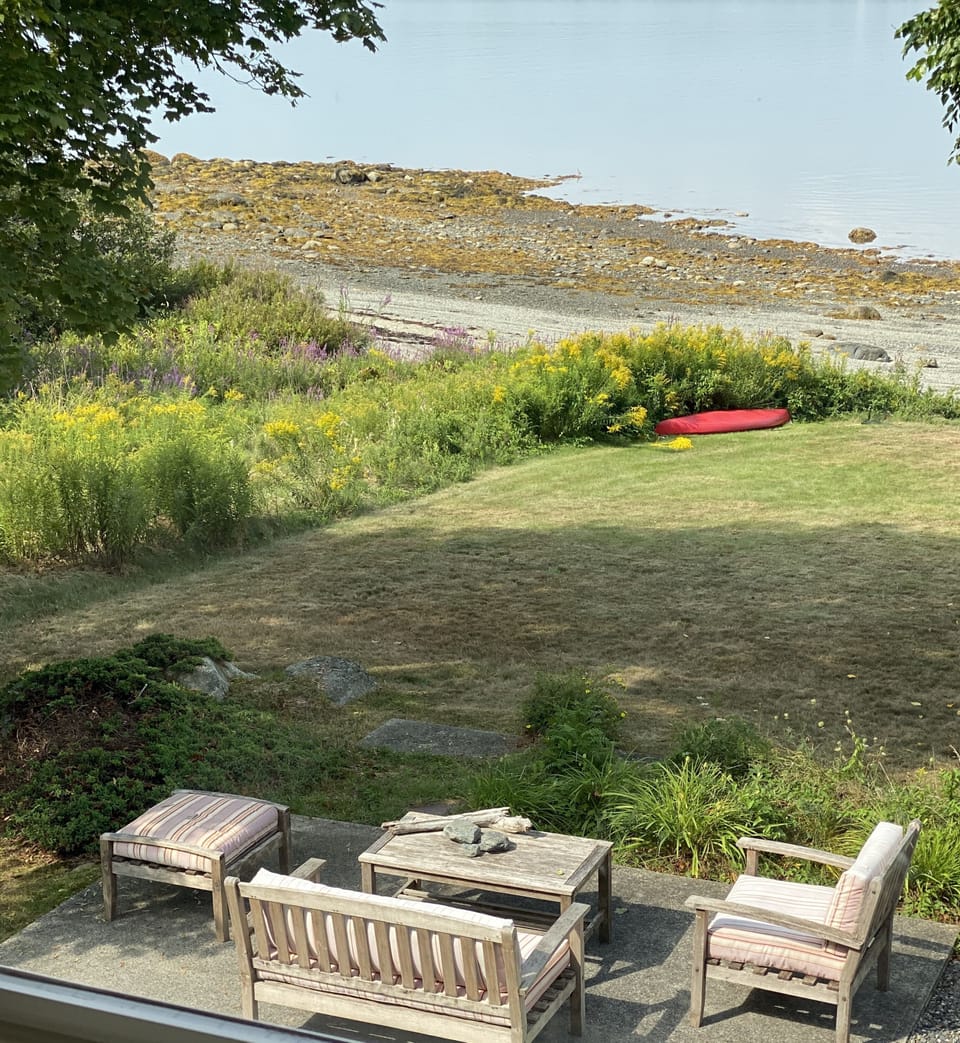 Patio view from house.