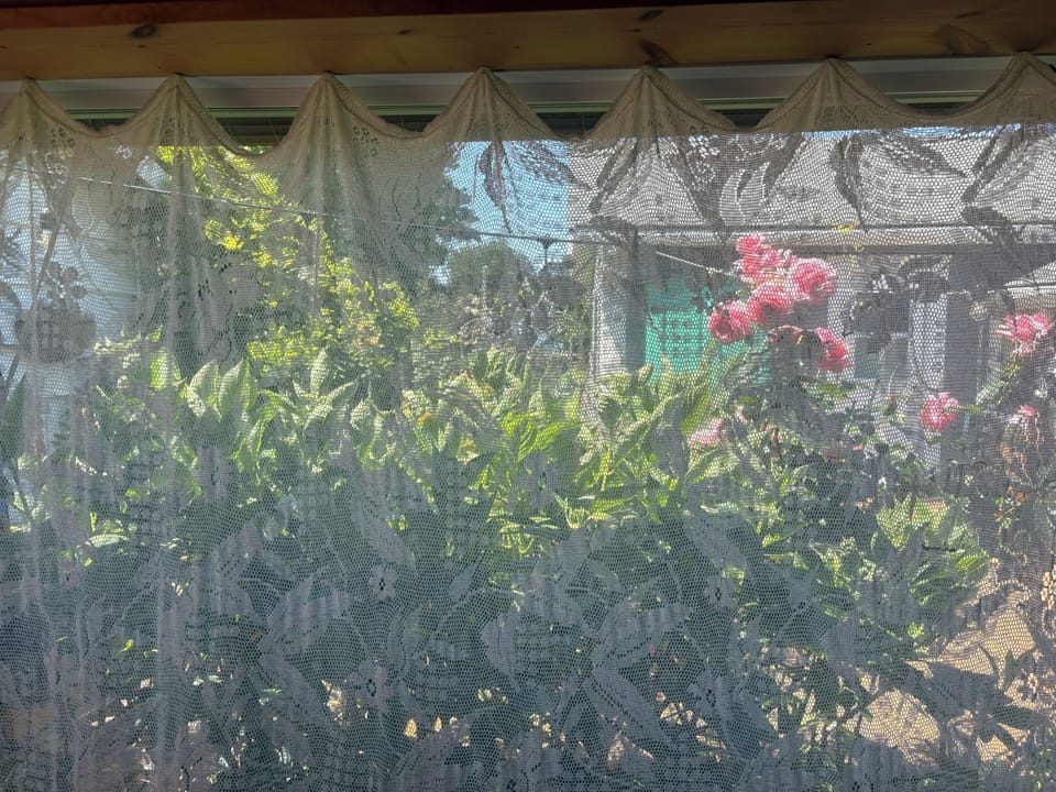 A summer  view from the Garden cottage.