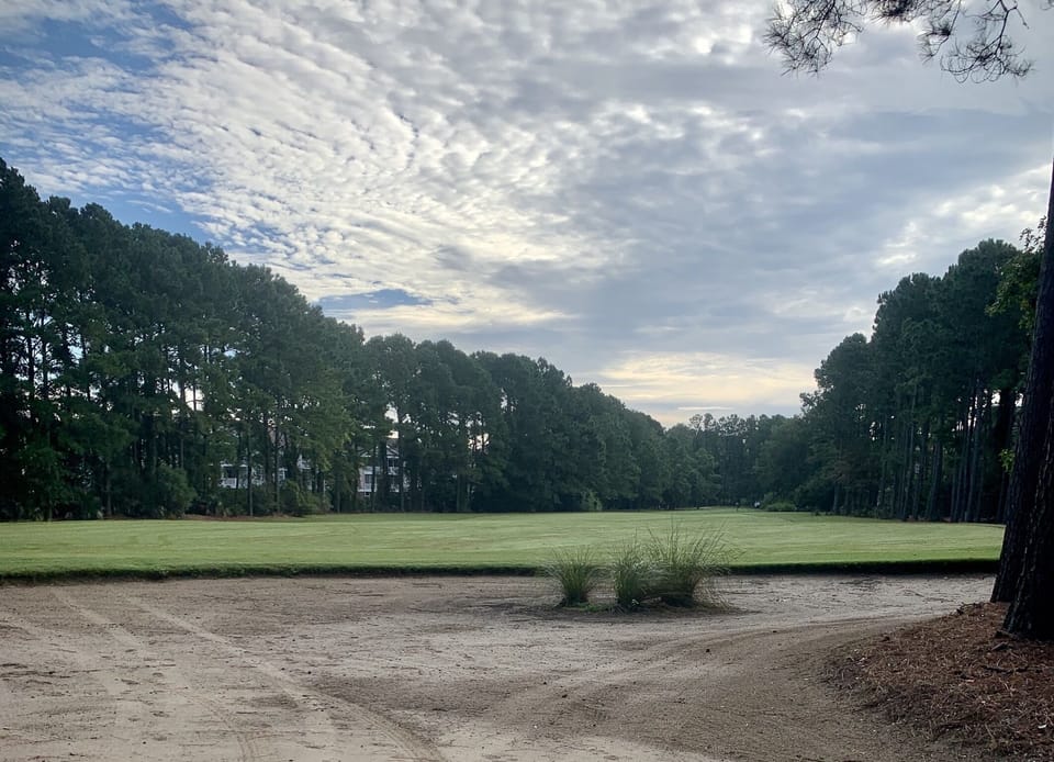 A view of the golf course!