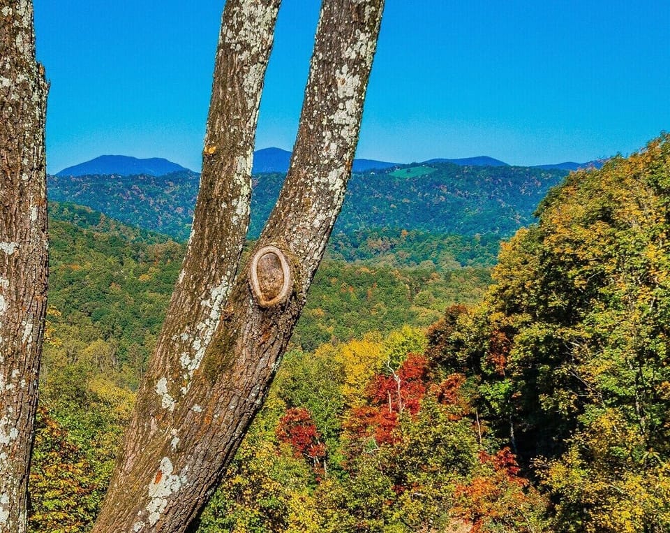View from the porch 