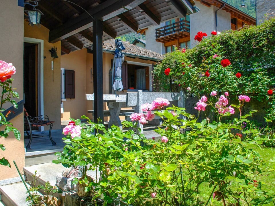 Flower, Property, Plant, House, Botany, Garden, Architecture, Building, Real Estate, Yard