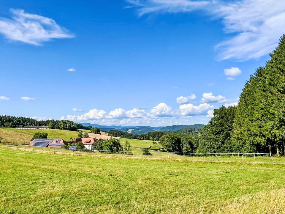 Blue, Green, Grass, Tree, Nature, Grassland, Natural Landscape, Plain, Summer, Landscape