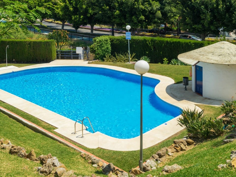 Swimming Pool, Property, Grass, Backyard, Leisure, Rectangle, Lawn, House, Yard, Real Estate