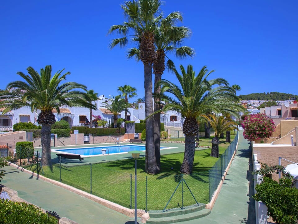 Palm Tree, Tree, Property, Resort, Arecales, Real Estate, Swimming Pool, Woody Plant, Resort Town, Vacation