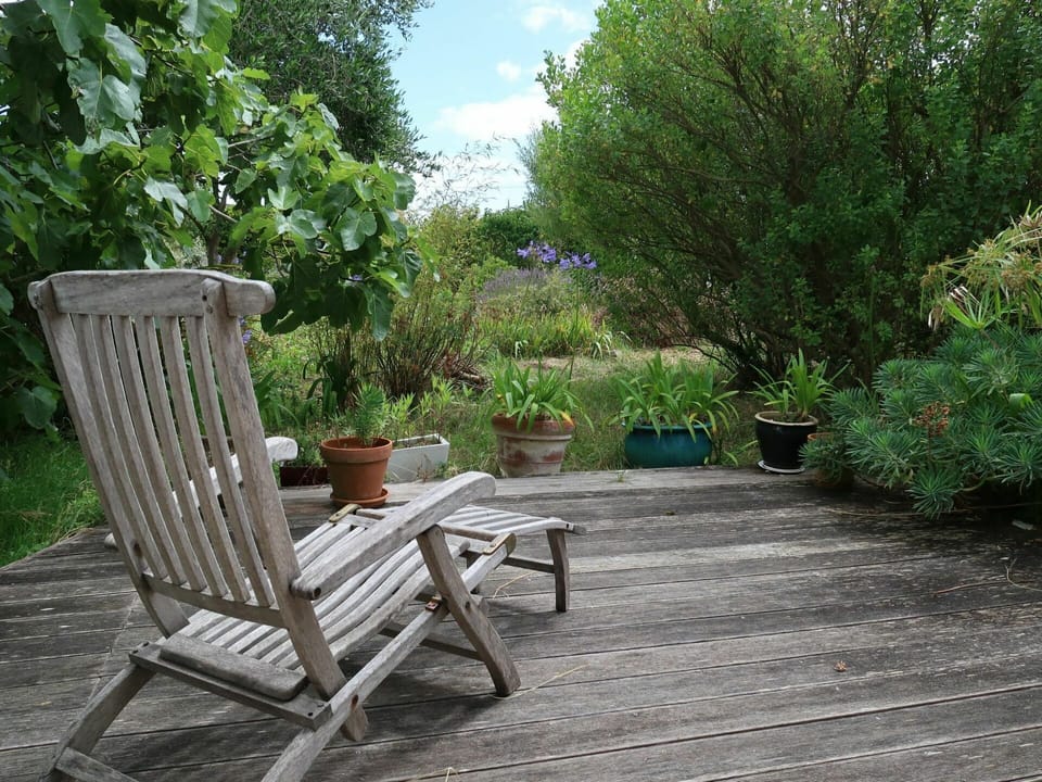 Furniture, Chair, Garden, Property, Outdoor Furniture, Botany, Tree, Yard, Backyard, Grass Family