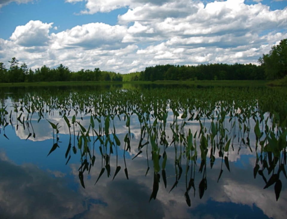 Calm waters