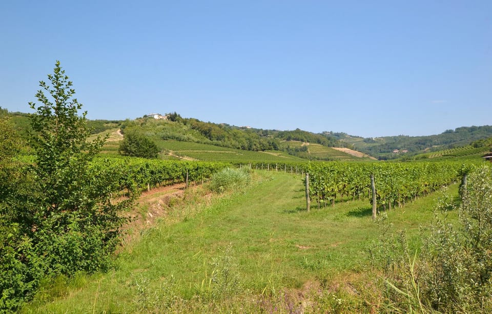 area